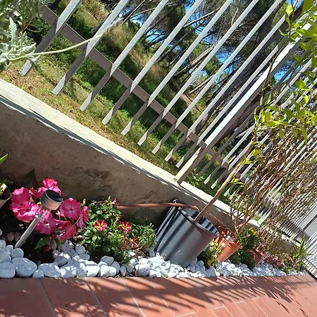 Bibbona Summer - Pineta 1 - Apartment Marina Di Bibbona