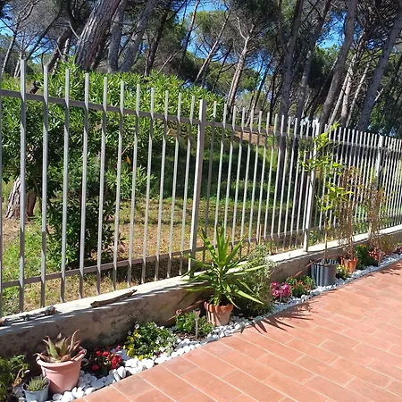 Apartment Bibbona Summer - Pineta 1 - Marina Di Bibbona