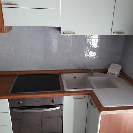Bibbona Summer - Pineta 1 -