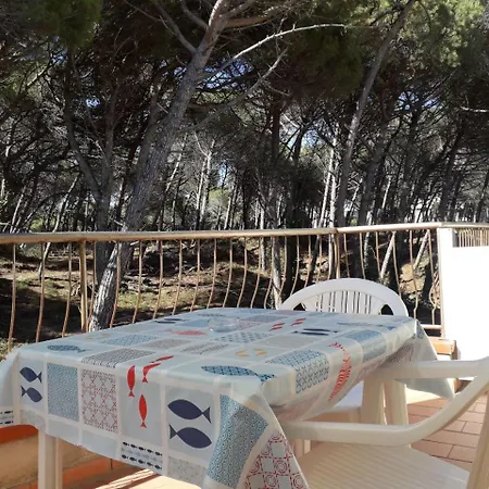 Bibbona Summer - Pineta 1 - Marina Di Bibbona